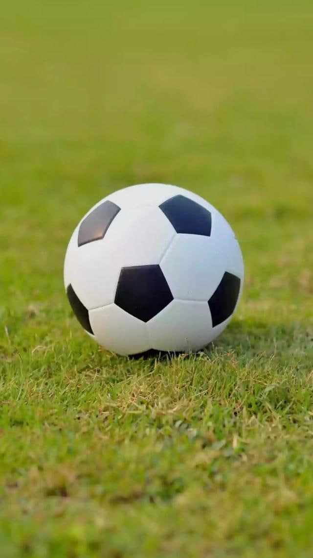 体育媒体编辑李女士对平台的评价